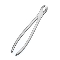 Gowing Tooth Forceps (SS)